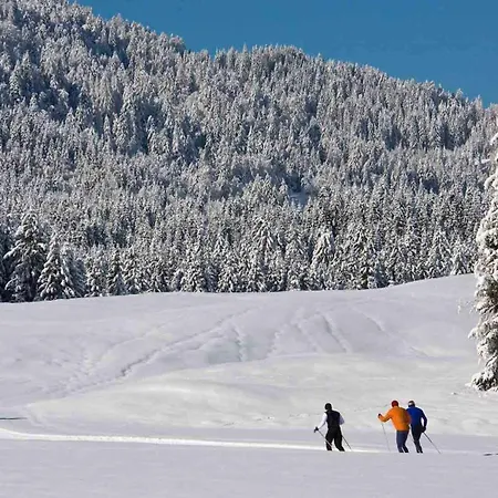 펜션 Alpensee Kaernten 바이센제