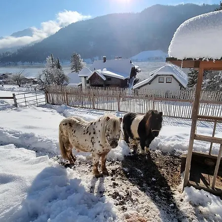 Alpensee Kaernten *